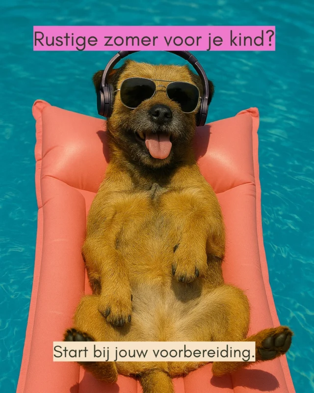 Je kind hoeft niet van activiteit naar activiteit te hollen om zich goed te voelen. 

Wat ze nodig hebben is rust. Ritme. Herkenbaarheid. En jij ook.

Maar rust ontstaat niet vanzelf. Je mag het plannen. Je mág kiezen voor gemak.

Daarom maakte ik Xillie Millies Summervibes - een gids die niet eist, maar ondersteunt.

Met 62 kant-en-klare ideeën verspreid over 4 zomerzones:
🌳 Trek eropuit
🎨 Knutselkast
🍚 Smulplek
🙌 Solo moment

🏰 Vrij spel – enkel voor pilootklanten

💛 Eén overzicht. Eén klik. Geen gedoe.
📃 Alles in een heldere Notionomgeving

🐾 En Millie? Die zorgt voor zachte aanmoediging.

🛍️ Pilootprijs: €37
🎒 Dat is meer rust per dag dan eender welk kamp je kan kopen

Link in bio. Deze zomer begin jij voorbereid.

#tinasgroeituin #zomerinzicht #ouderrust 
#xilliemilliesummervibes 
#oudertips #zomerzonderchaos 
#kindercoach #milliekeurtgoed