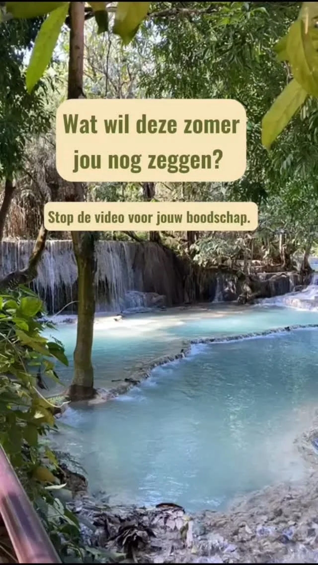 Kijk. 
Voel. 
Screenshot.

Misschien zit jouw boodschap er tussen.
Misschien eentje voor je kind.

Of eentje die je liever eerst drie keer negeert.
Ook goed.

Deze zinnen zijn niet bedoeld om iets te fixen.
Ze zijn er om iets aan te raken.
Een knipoog. Een schopje onder je kont. Een stille bevestiging.

Screenshot de zin die blijft hangen.
Tag me als je wil. Of hou ‘m voor jezelf.
En laat de rest maar waaien.

Summervibes! 

#tinasgroeituin #kampmama #xilliemilliesummervibes 
#zomerboodschap #screenshotjegevoel